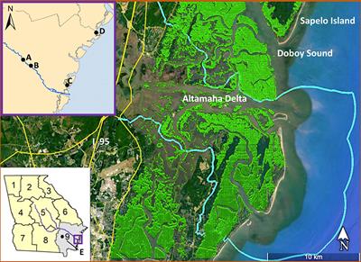 Temporal patterns and causal drivers of aboveground plant biomass in a coastal wetland: Insights from time-series analyses